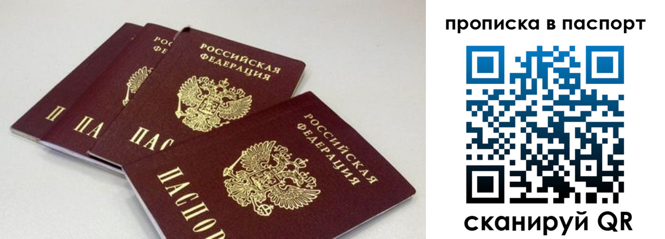 найти адрес прописки в Каменск-Шахтинском